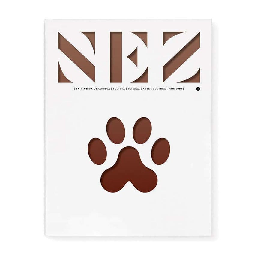 nez7IT-couv-850-1